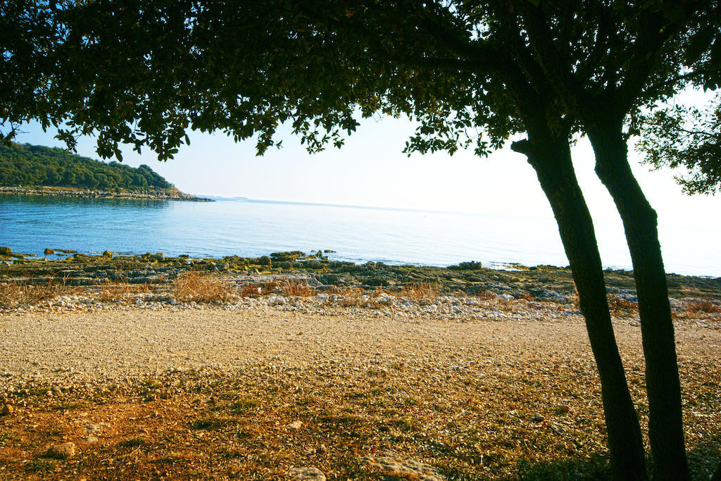 Guest House Robert I Mirna Bale Dış mekan fotoğraf